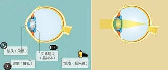 怎么佩戴老花鏡？驗(yàn)光 品牌 質(zhì)量 保養(yǎng)一個(gè)都不能少
