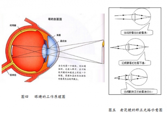 美麗島眼鏡：老花鏡不可隨意亂帶，需要在專業(yè)驗光后科學配制